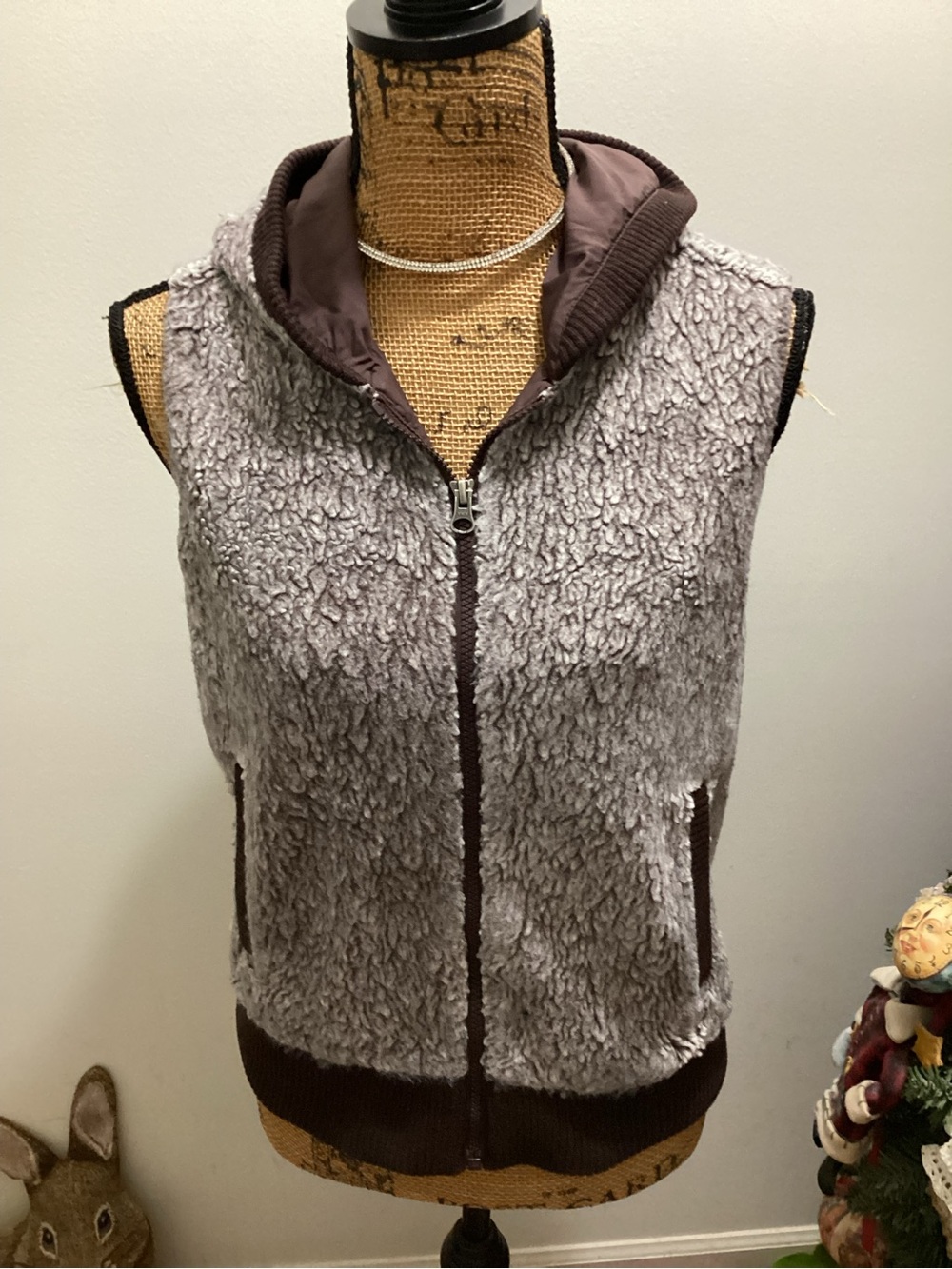 Patagonia Hoodie Vest